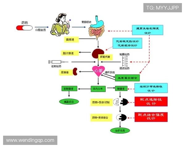 问鼎官网平台支持多语言、多设备的兼容性优化方案解析