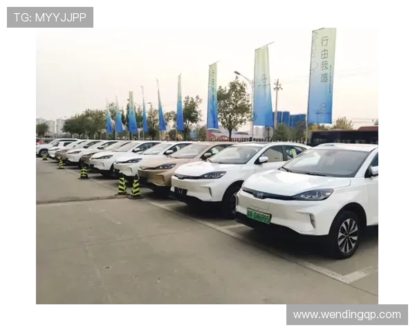 问鼎网站：如何通过内容优化和用户体验提升网站在行业中的竞争力