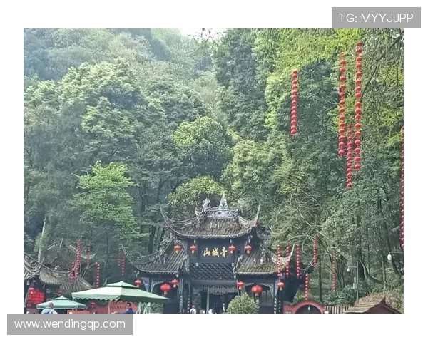 掌握问鼎在线入口登录流程，轻松开启你的问鼎之旅体验丰富玩法