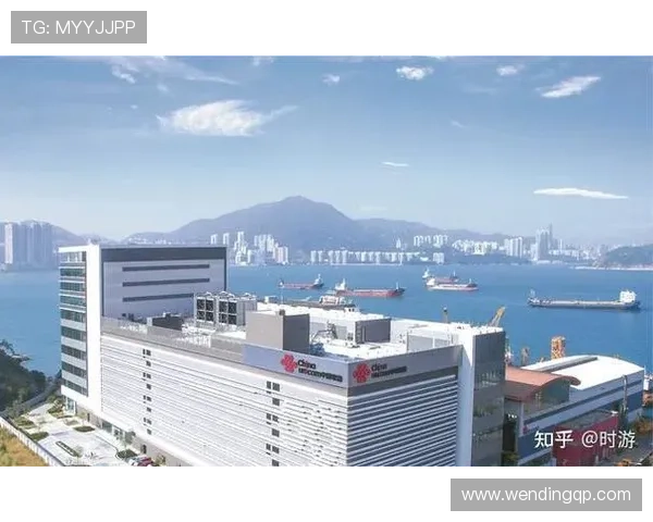 问鼎国际首页：多语言支持与本地化运营助力国际市场拓展